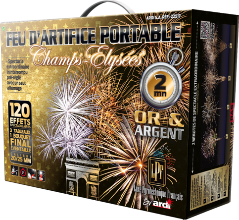 22517lpf ptb 2mn or et argent