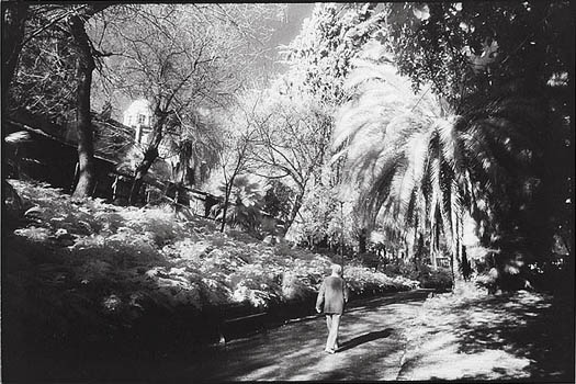 Portf imp 27 infrarouge