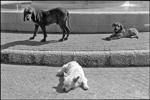 Portf imp 15 ch5 p140