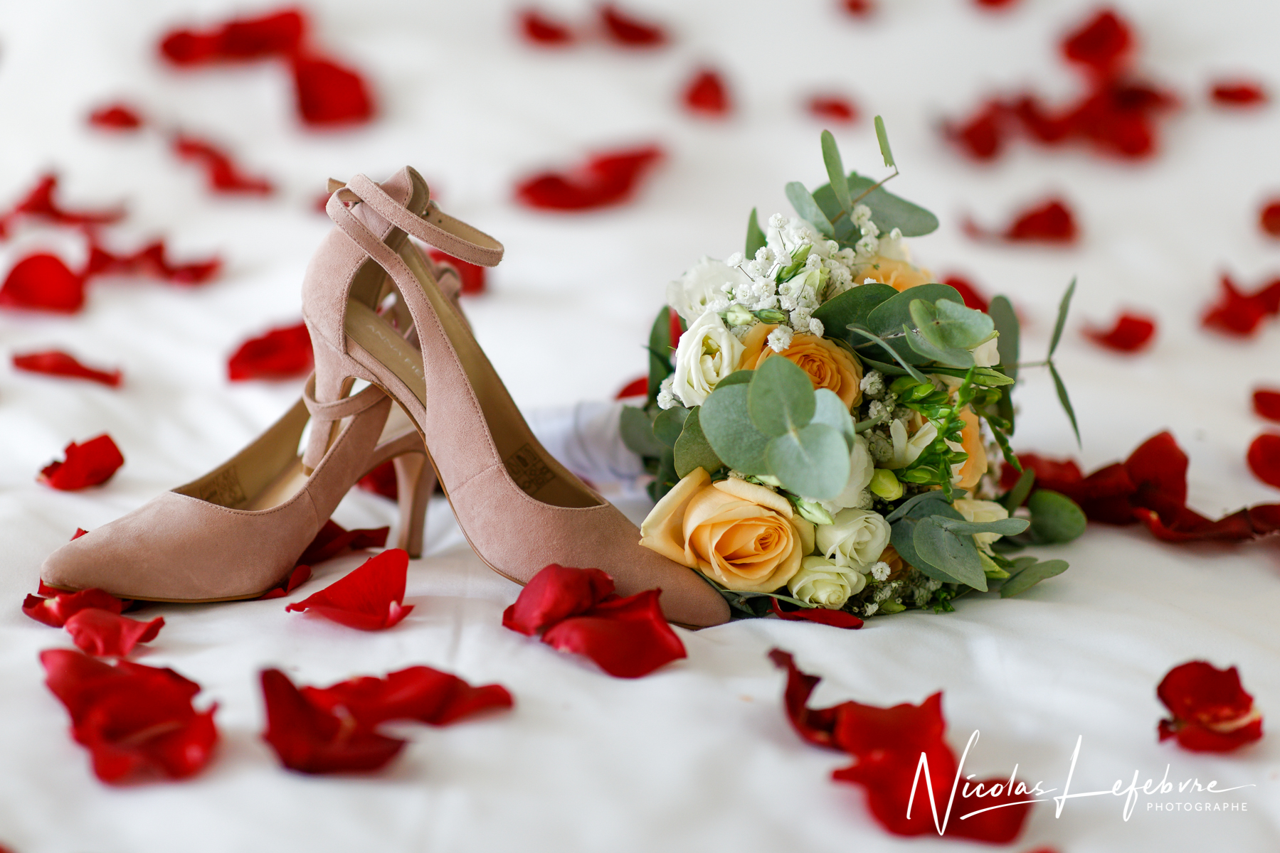 Photographe rouen nicolas lefebvre 21