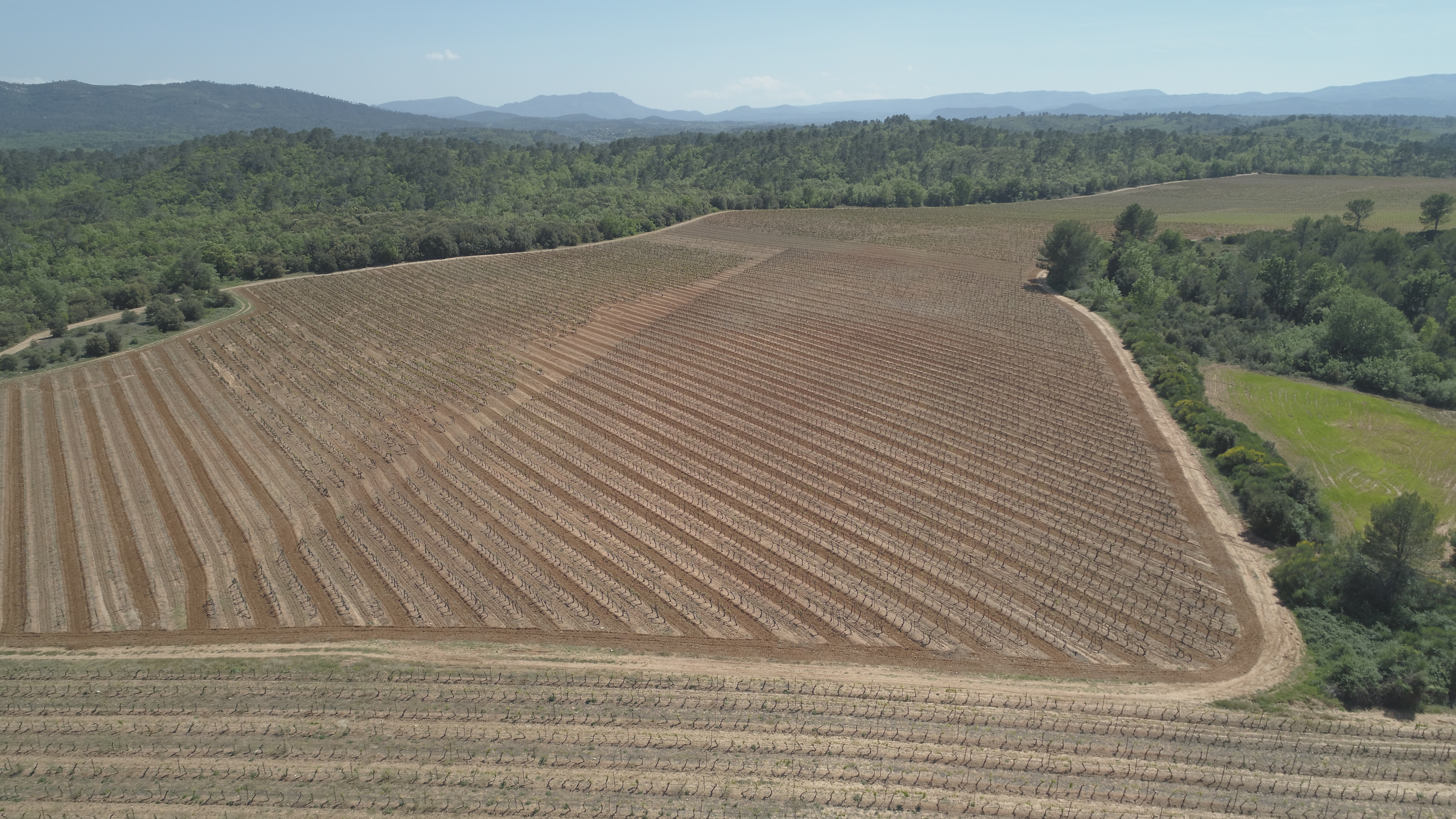 vigne vue du ciel et Sainte Baume