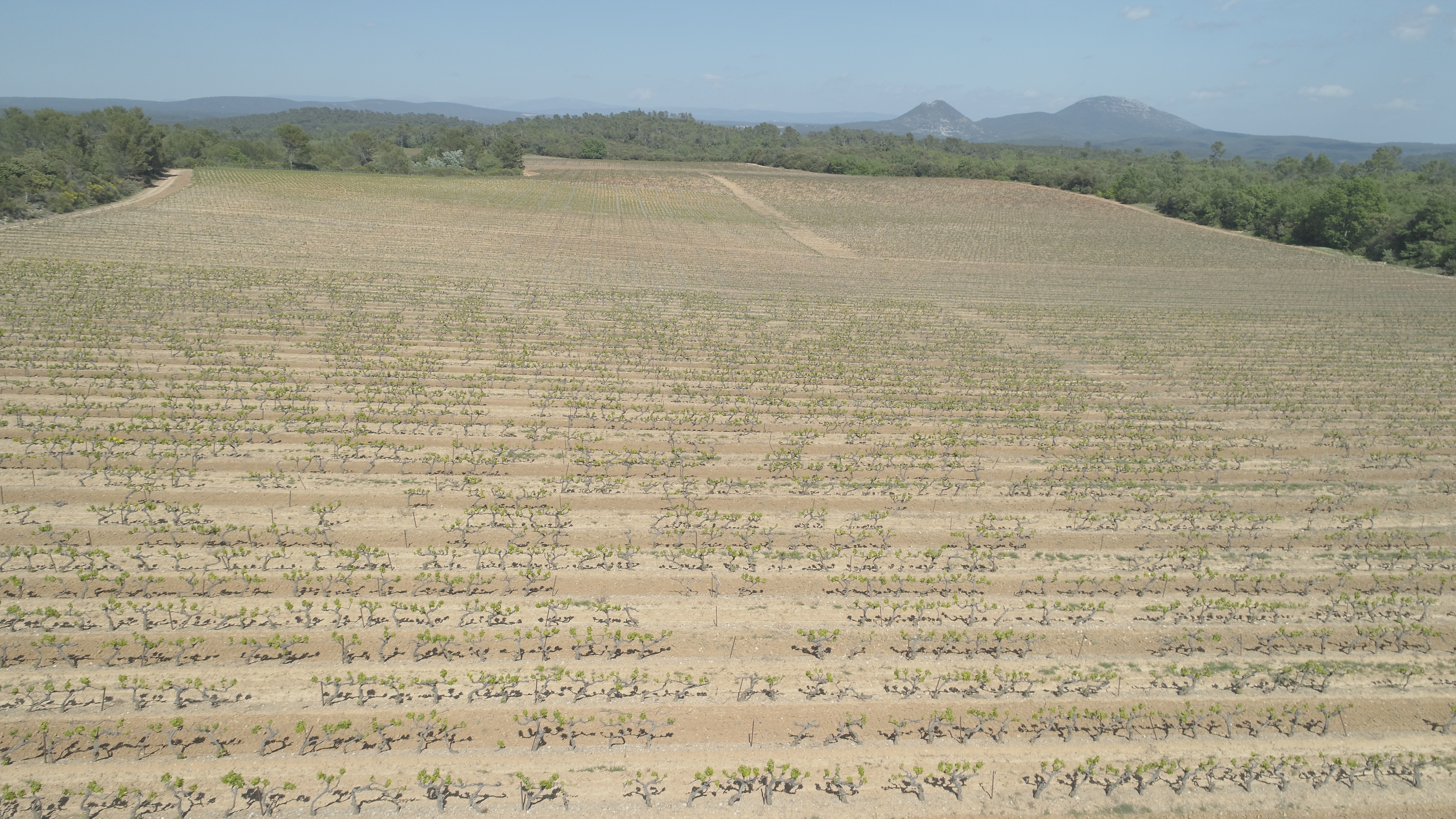vigne vue du ciel et Bessillon
