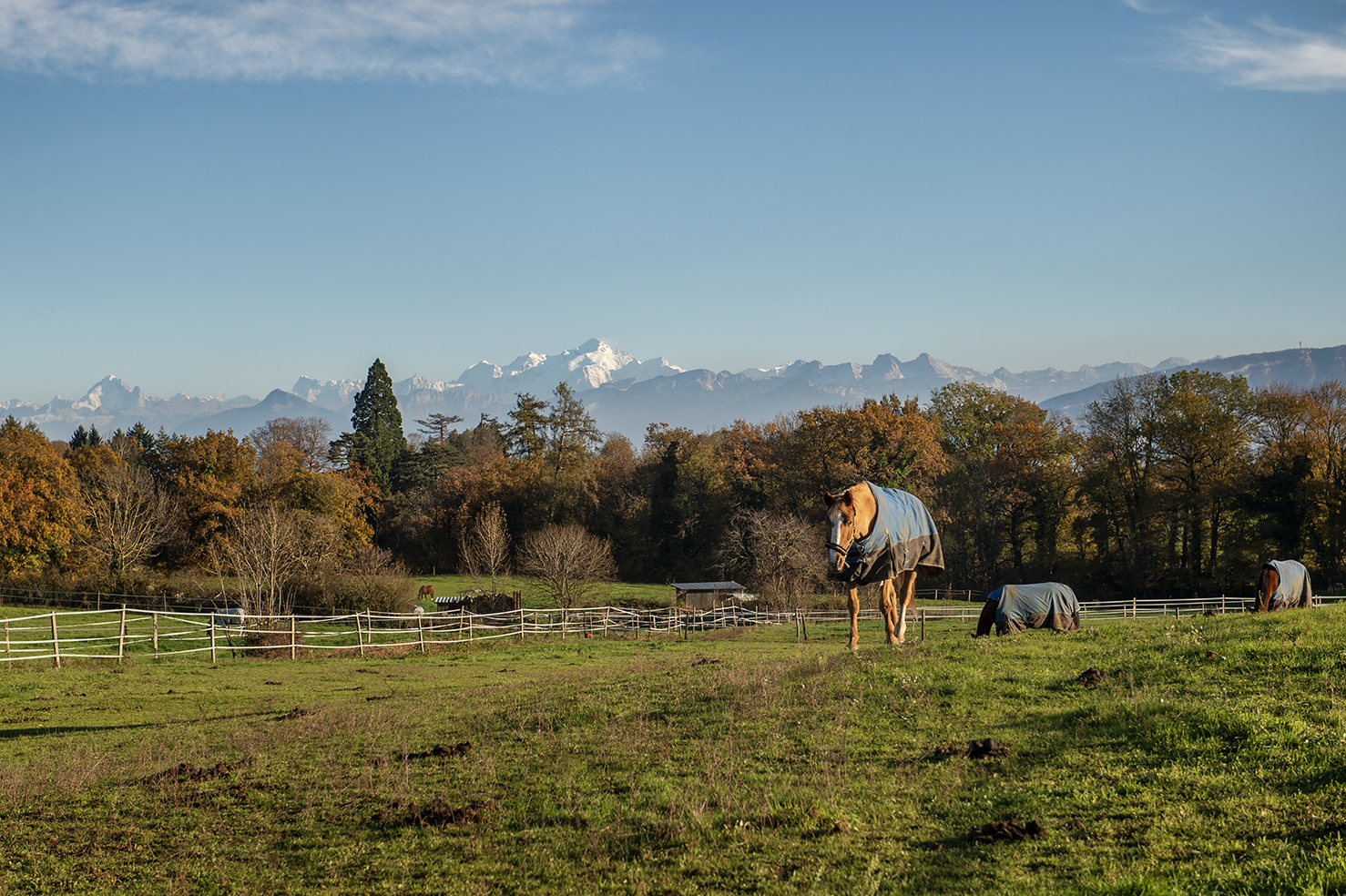 E10 4357-copie-2