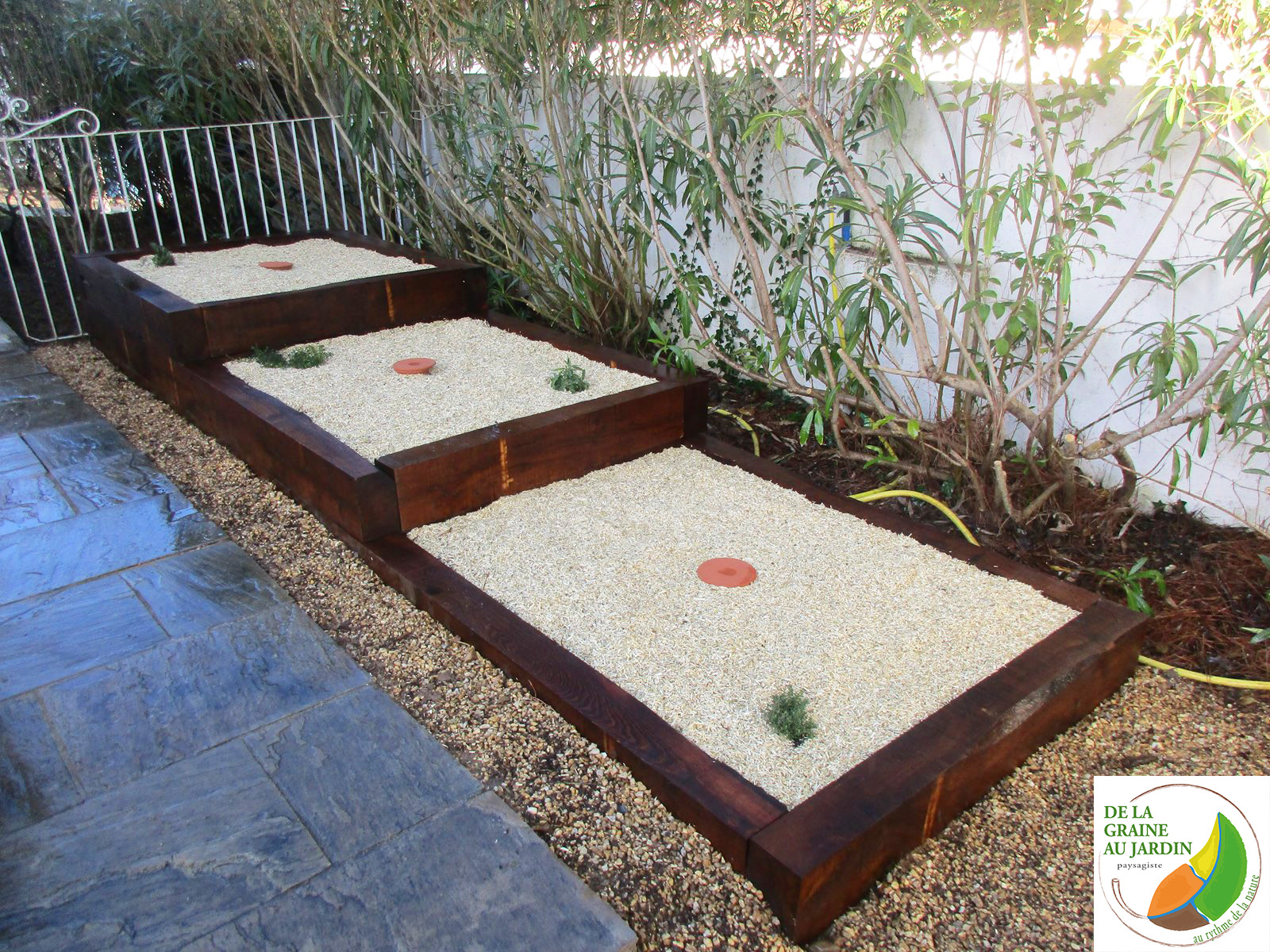 Potager vue d ensemble