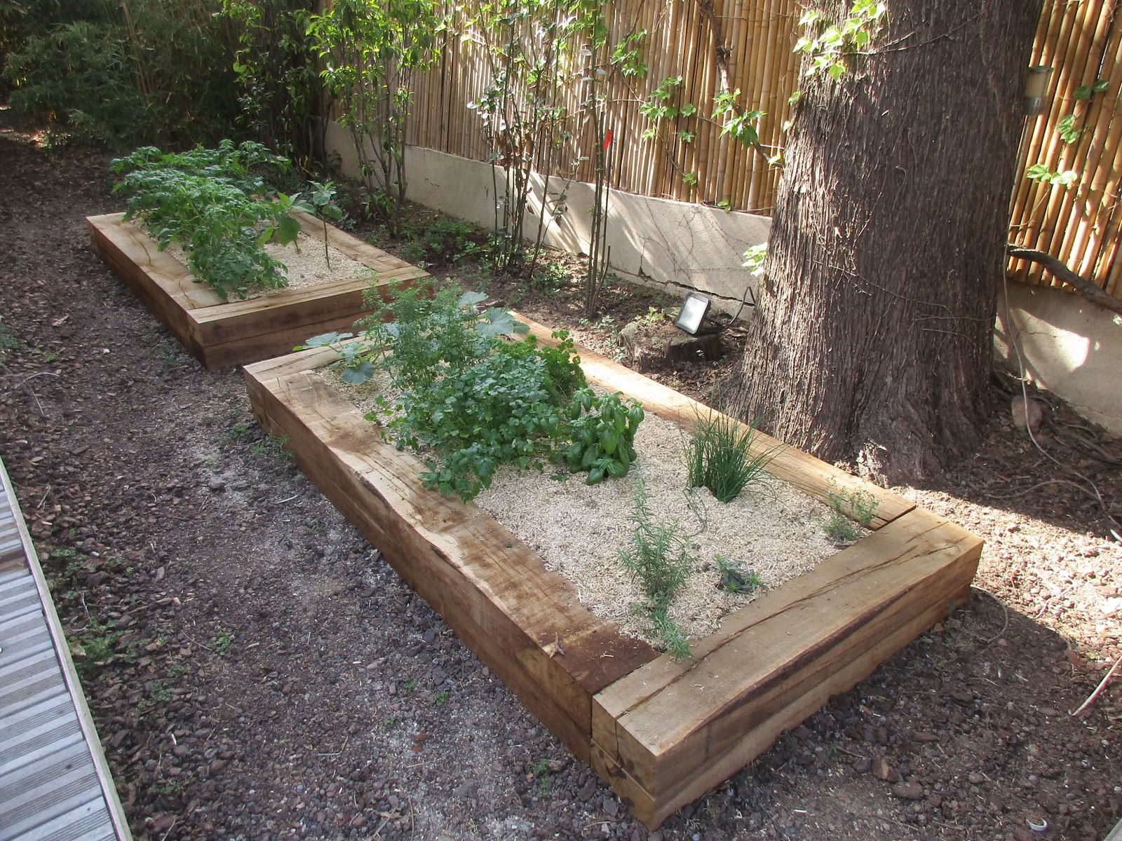 Potager mai 2023 3 copy 