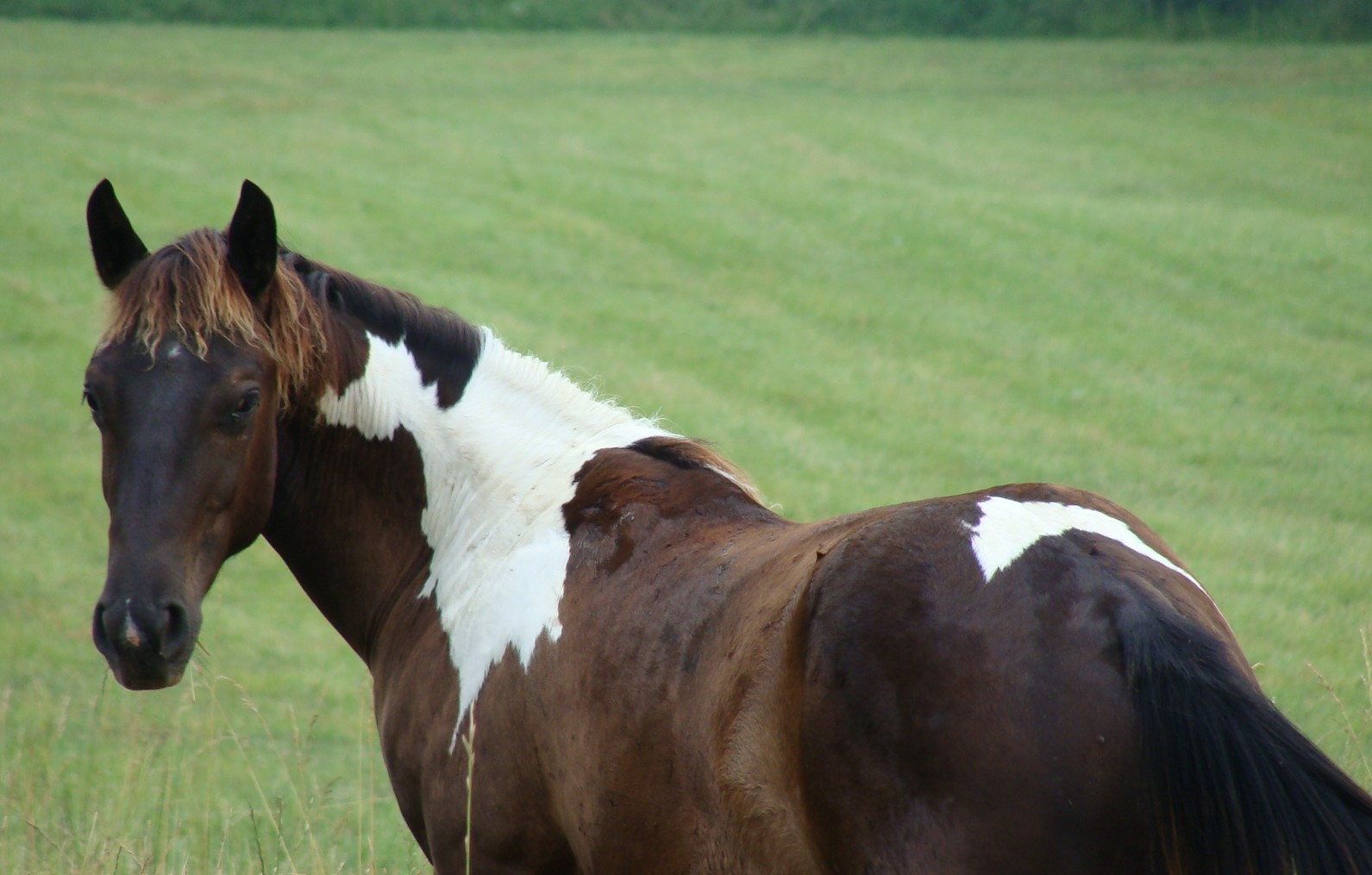 Yuma dsc04044