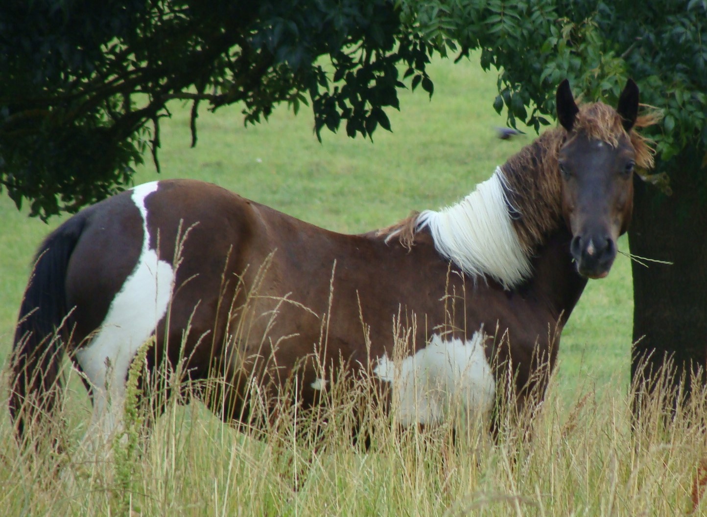 Yuma dsc04047