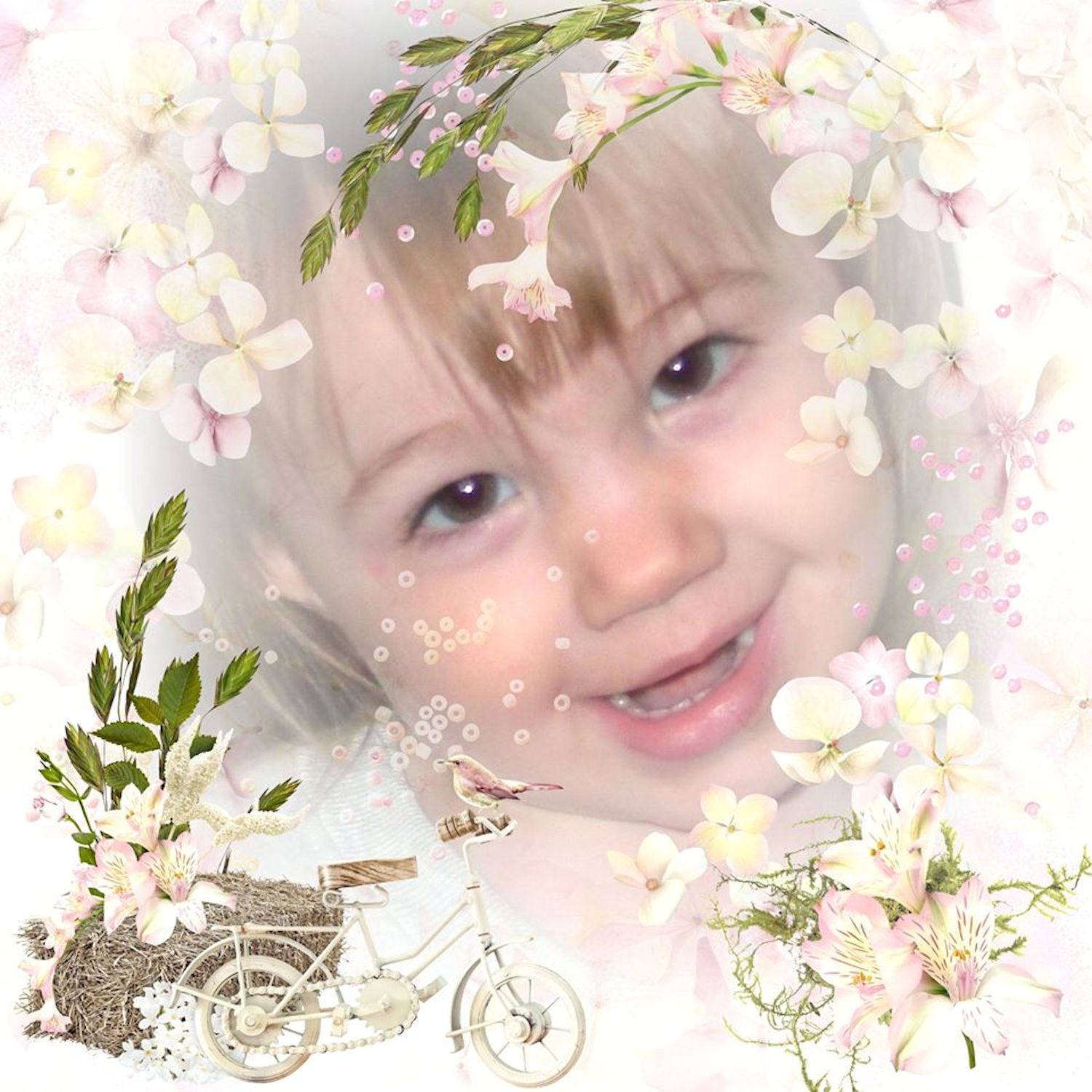 Shirley3