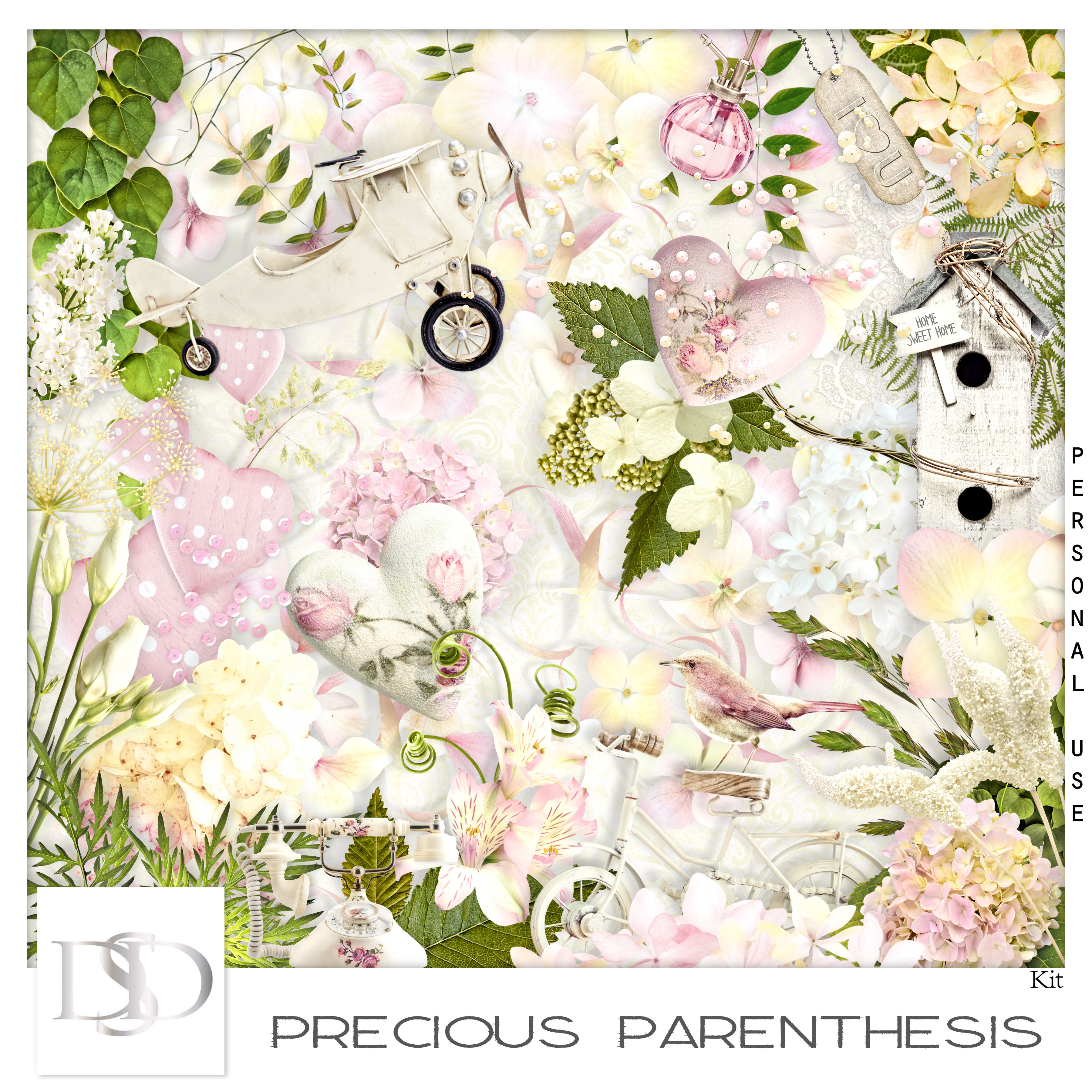 Dsd preciousparenth kit