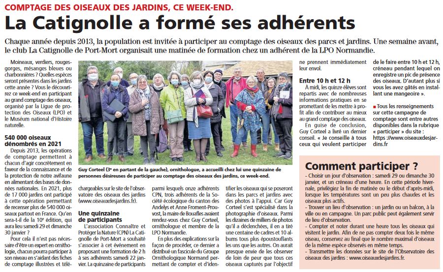 Comptage-oiseaux-des-jardins