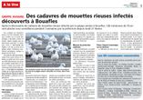 2023 presse mouettes-rieuses