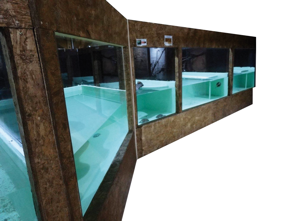 Aquarium 2