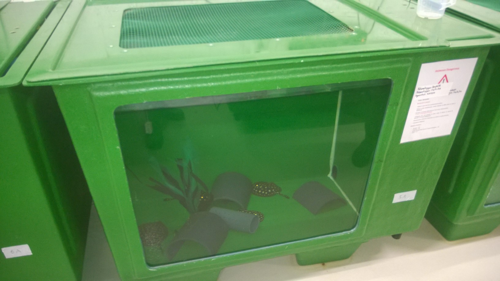 aquarium de mise en quarantaine