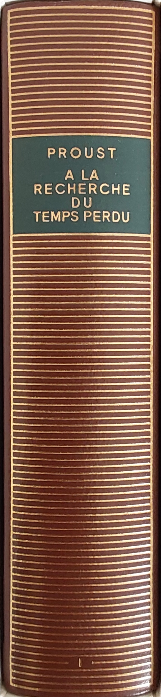 Volume 100 de Marcel Proust dans la Bibliothèque de la Pléiade.