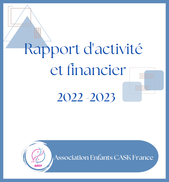 Rapport activites