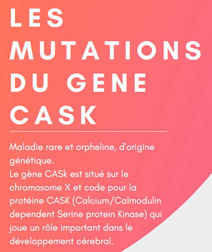 Mutations gene CASK