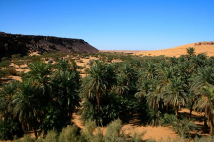 Sahara mauritanie 2cv dunes gps de sert cyril et sylvie oasis