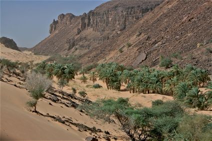 Sahara mauritanie 2cv dunes gps de sert cyril et sylvie palmeraie 4