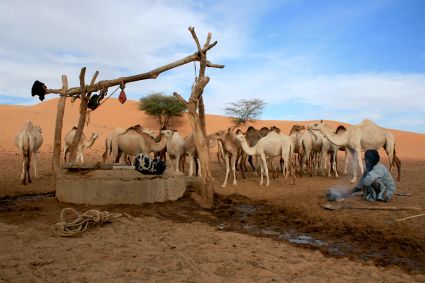 Sahara mauritanie 2cv dunes gps de sert cyril et sylvie puits 6