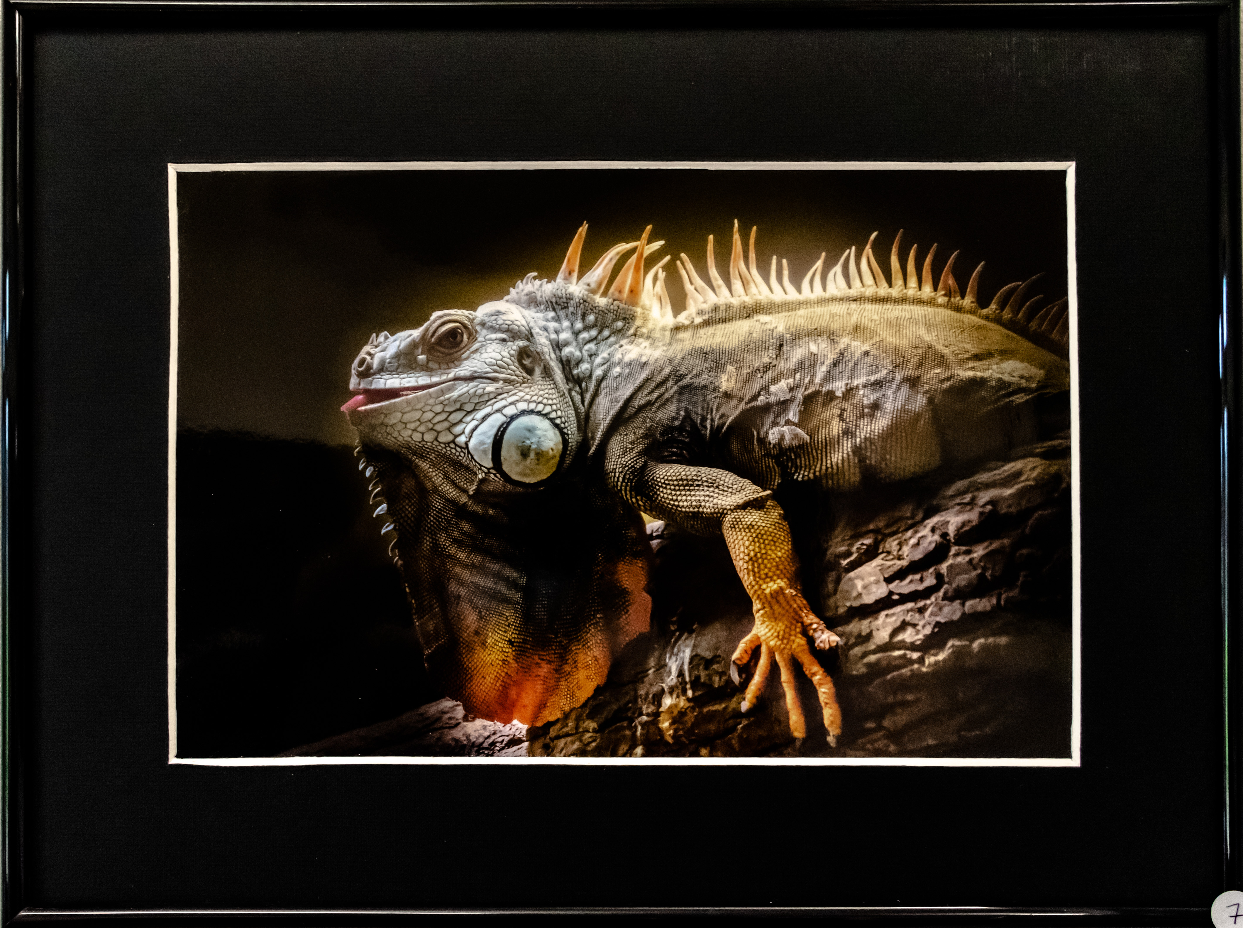 20201024  dsc2054