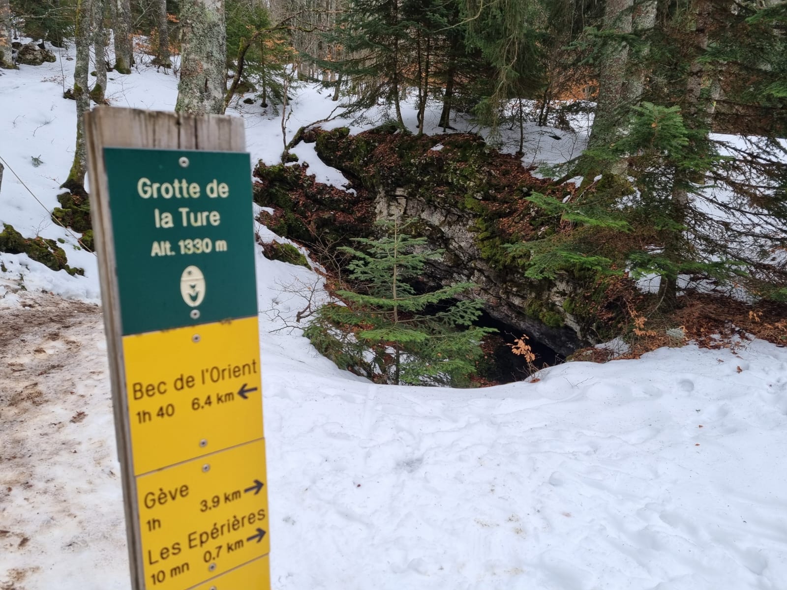 Whatsapp image 2026 01 17 at 11 43 27