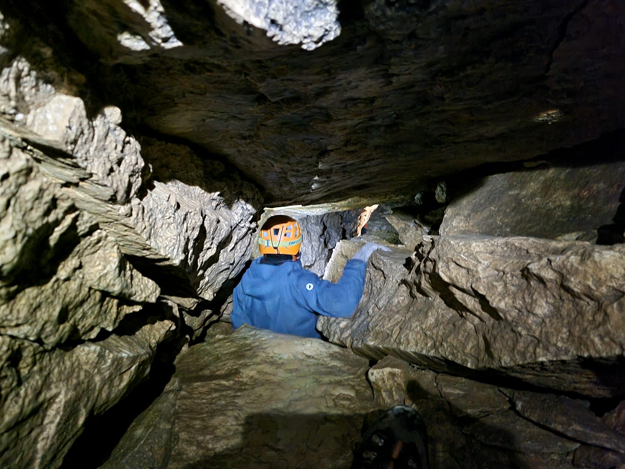 Whatsapp image 2026 01 17 at 08 09 13