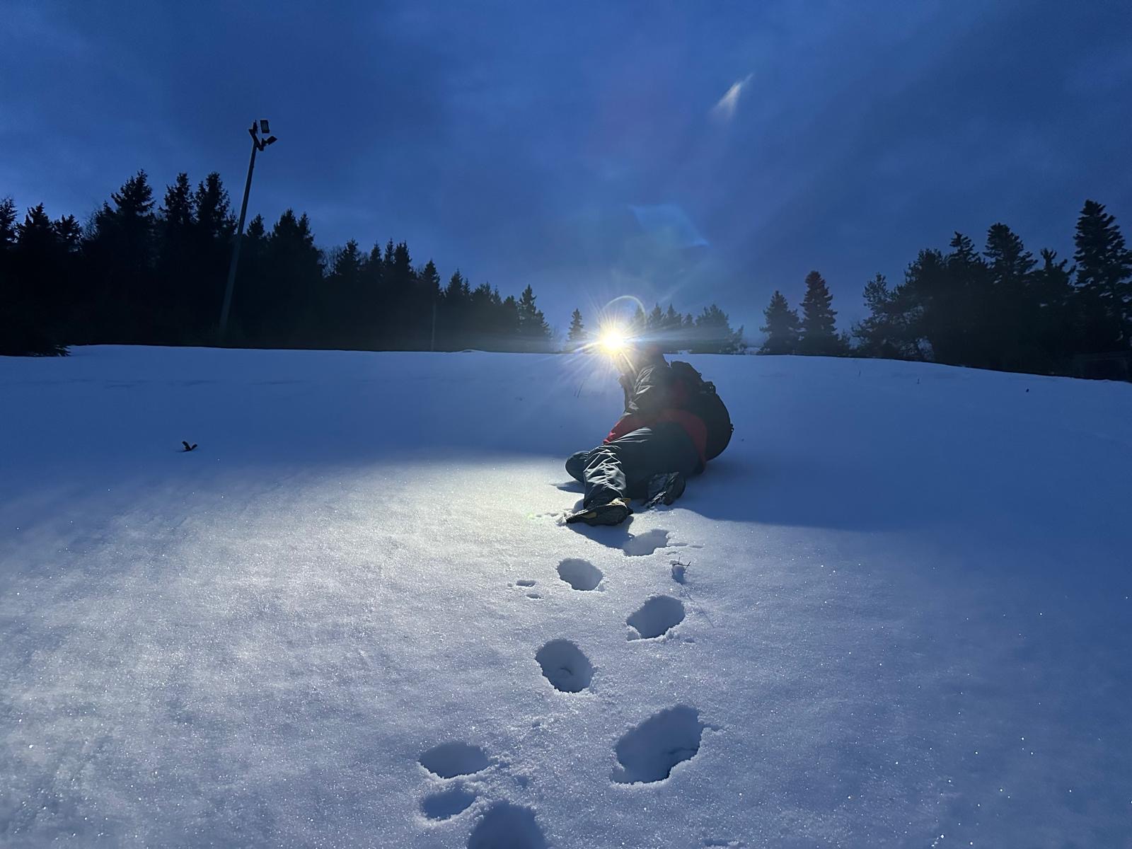 F6b7813a 7629 4102 bda1 7defb28c3d18