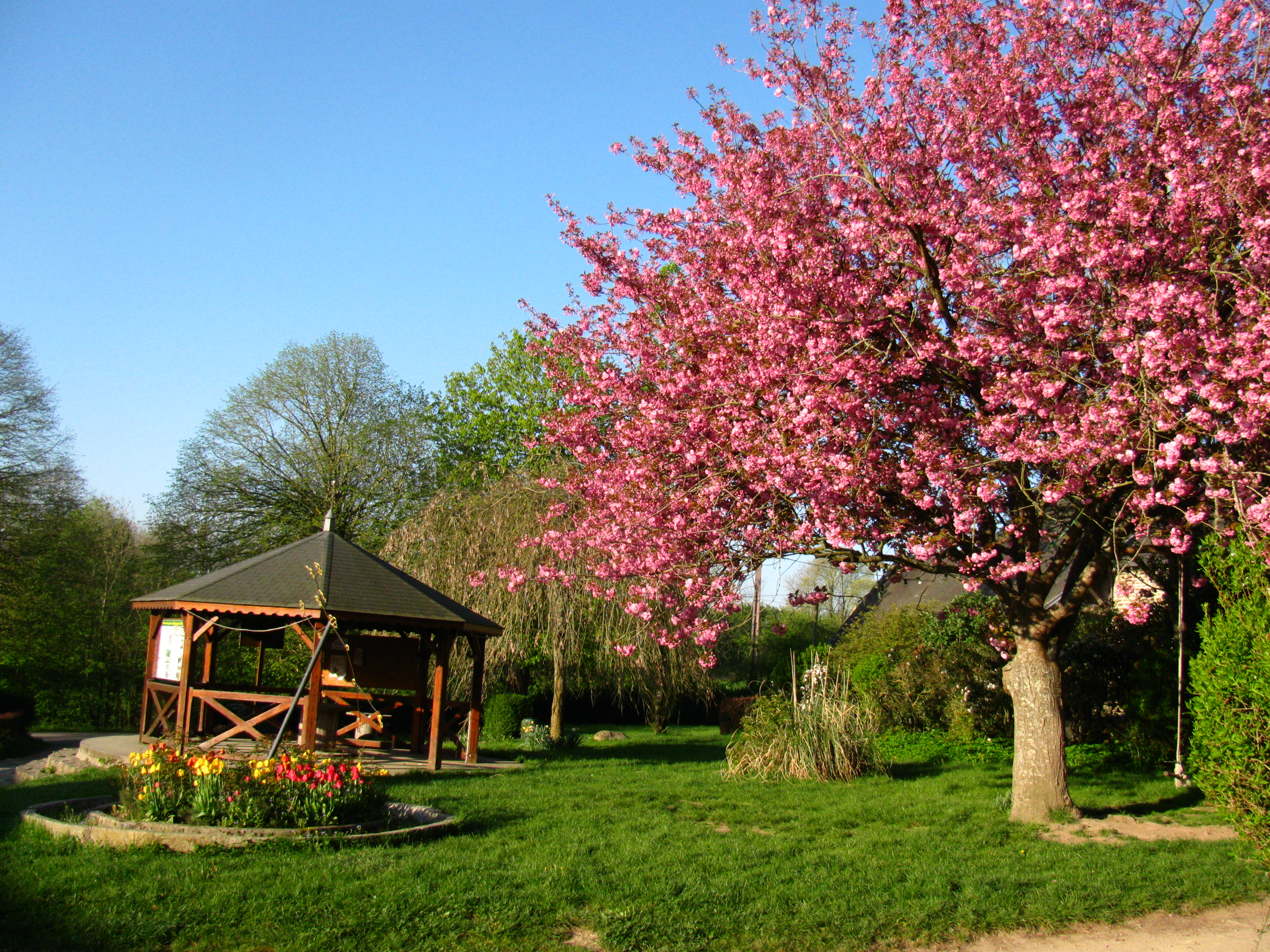 La cour fleur