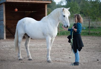 Gitan frederique ecurie de sebo 20191013 154132b