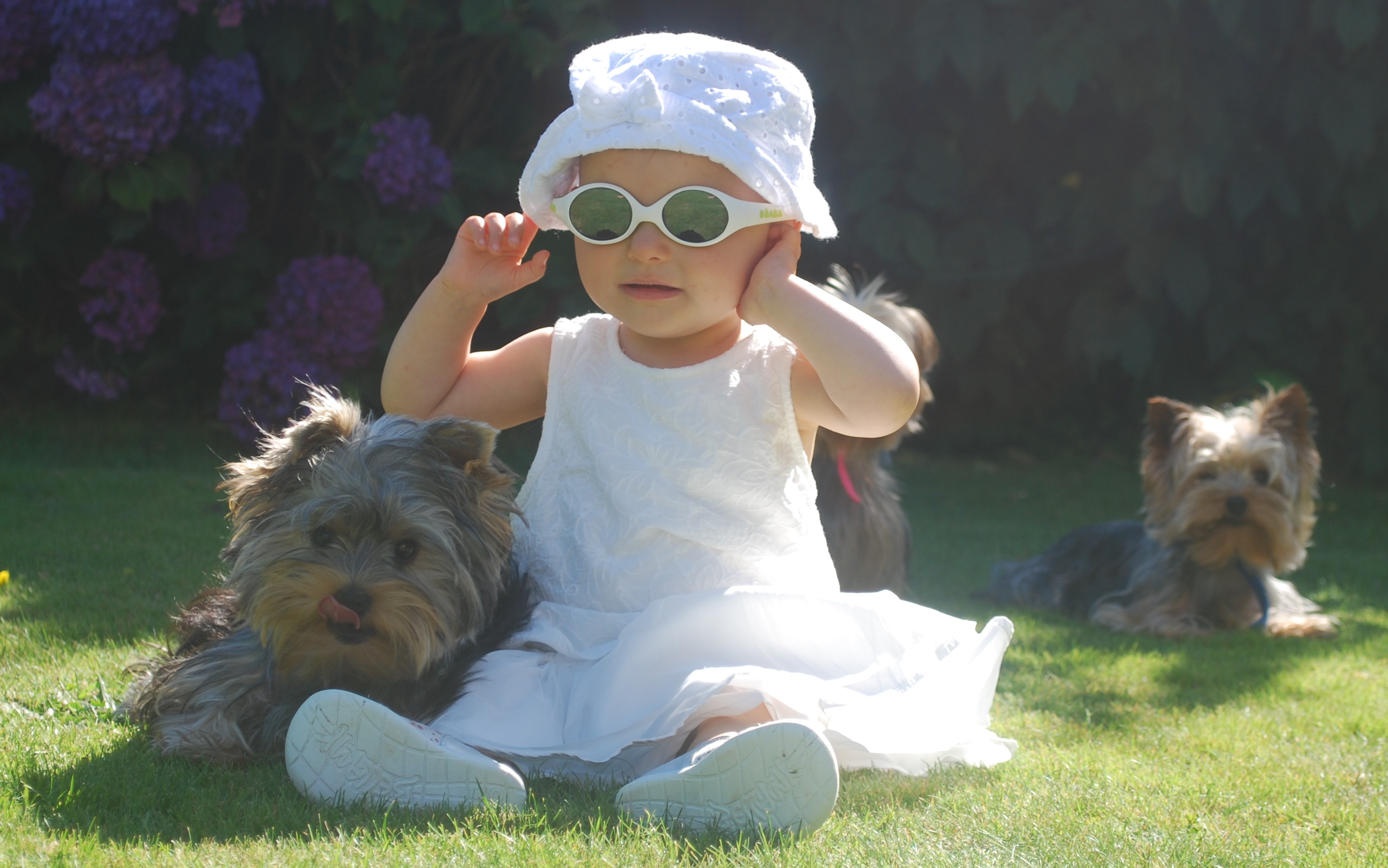 Myrtille marcel