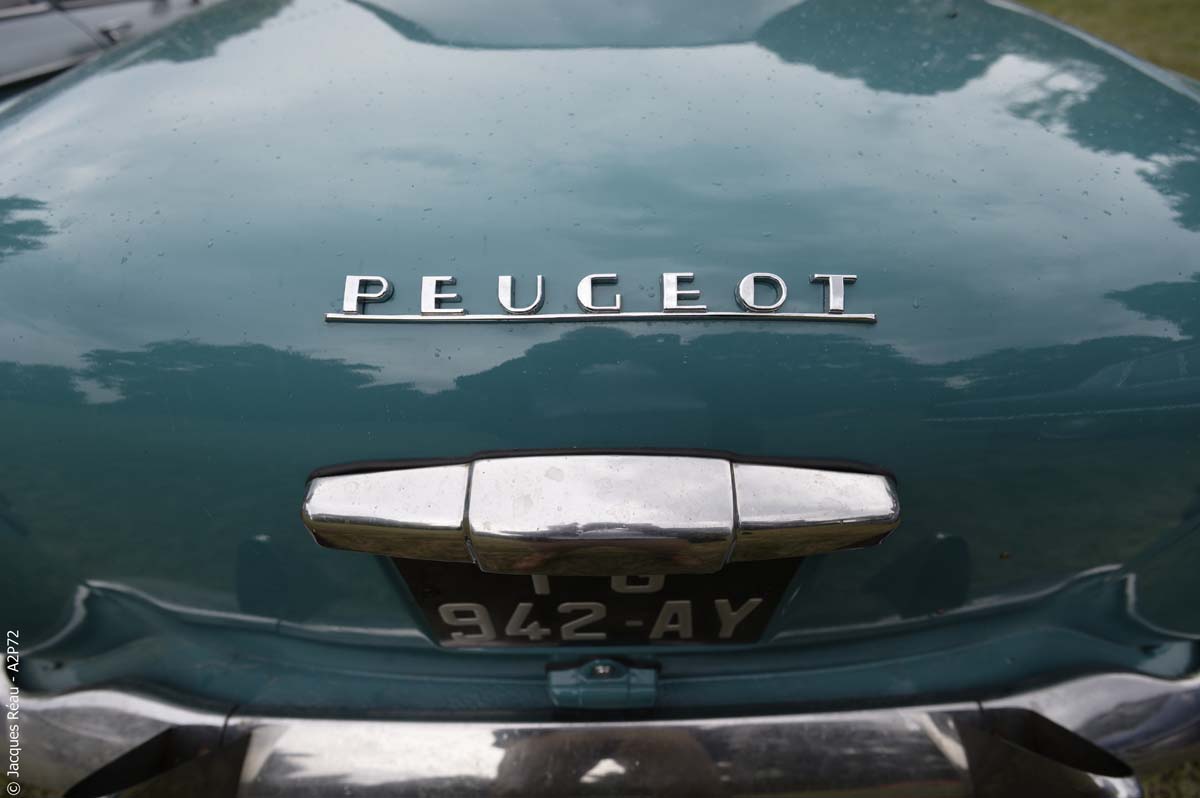20240921 94 2241dsc 9294 dxo