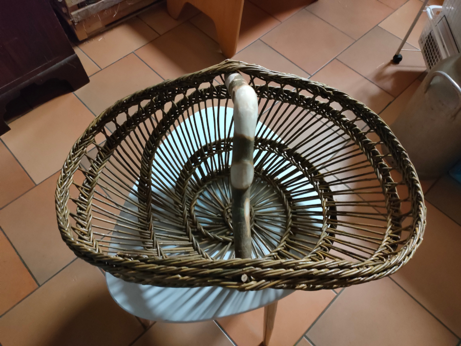 Img20220819222937