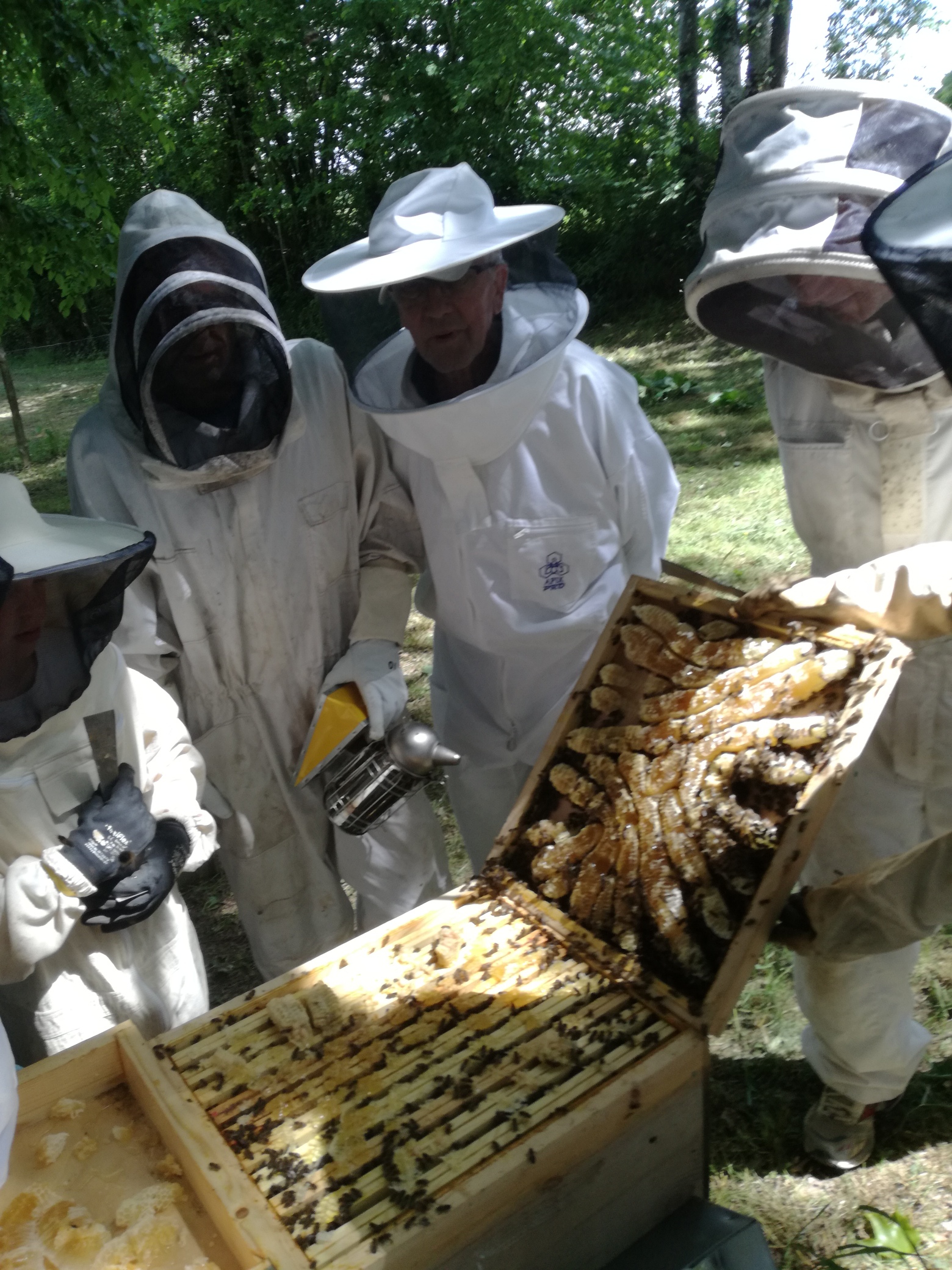 Img 20180526 152838 resized 20180609 090855430