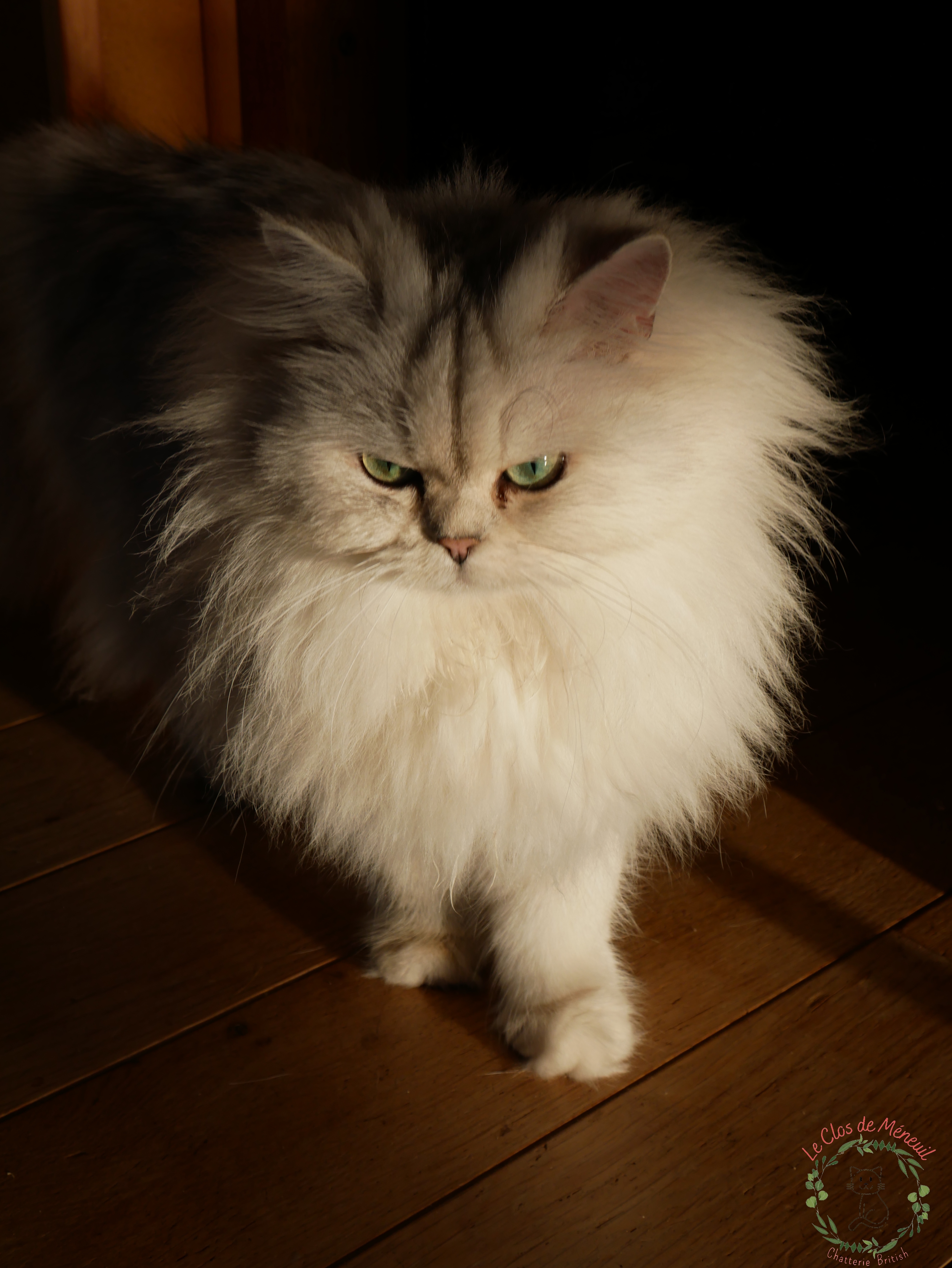 P1050319