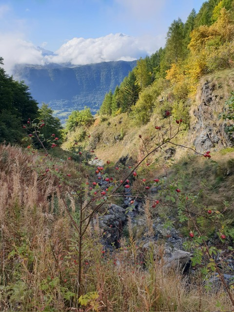 Eb5825e3 2d3e 48bd 9377 884ca63aa9d1 copie copie