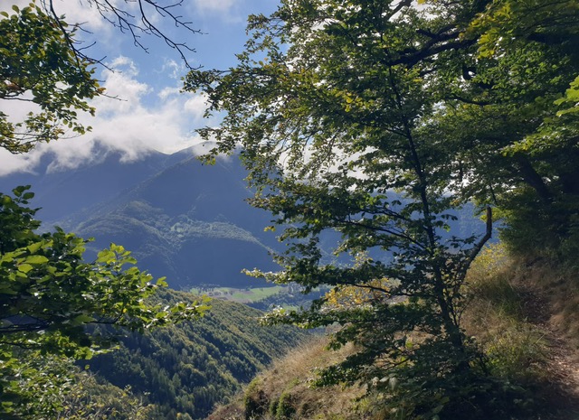 0c5f615e ddaa 4615 87b0 65176b8ac631