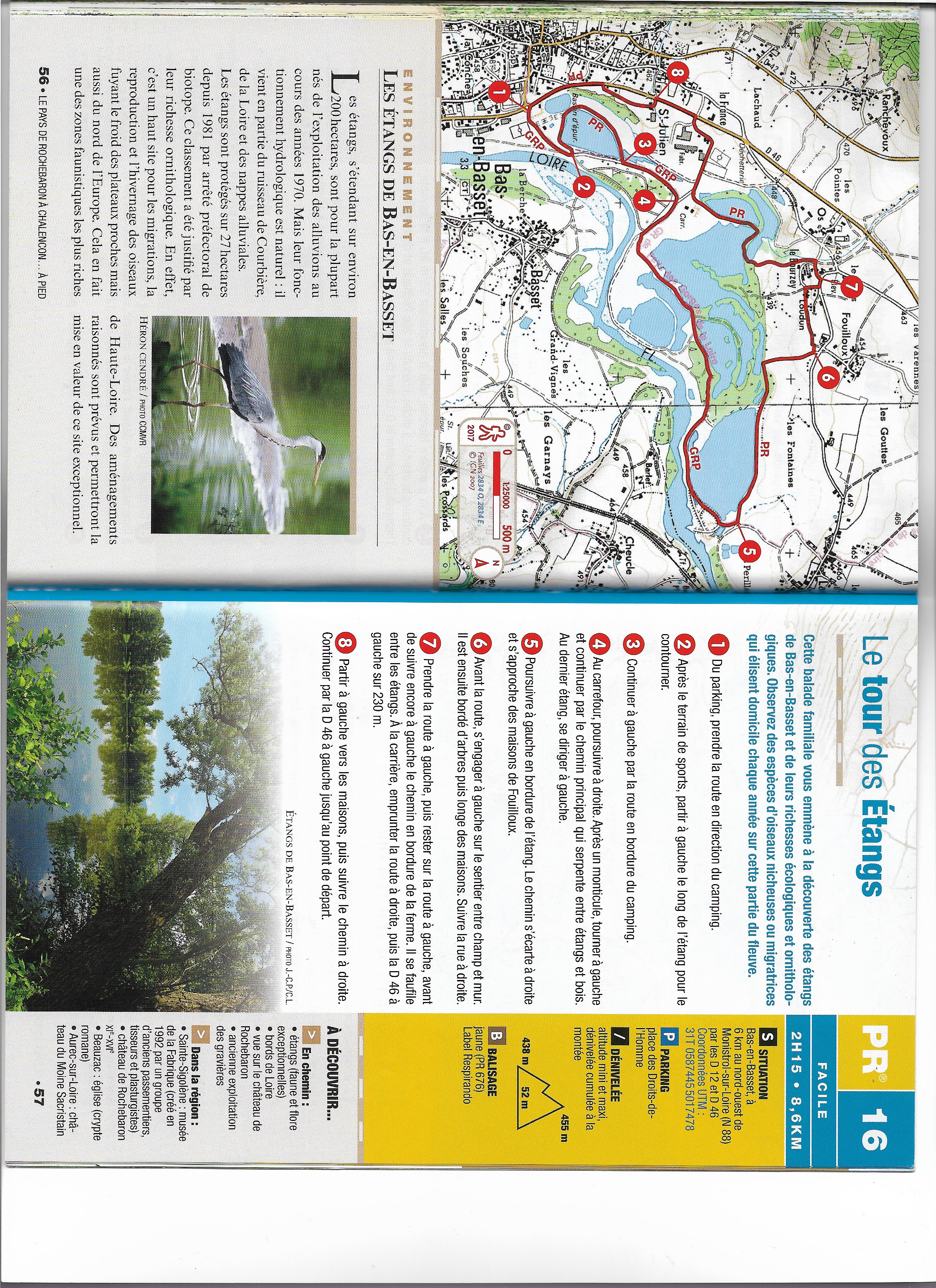 Le-tour-des-Etangs-PR-676-Bas-en-Basset