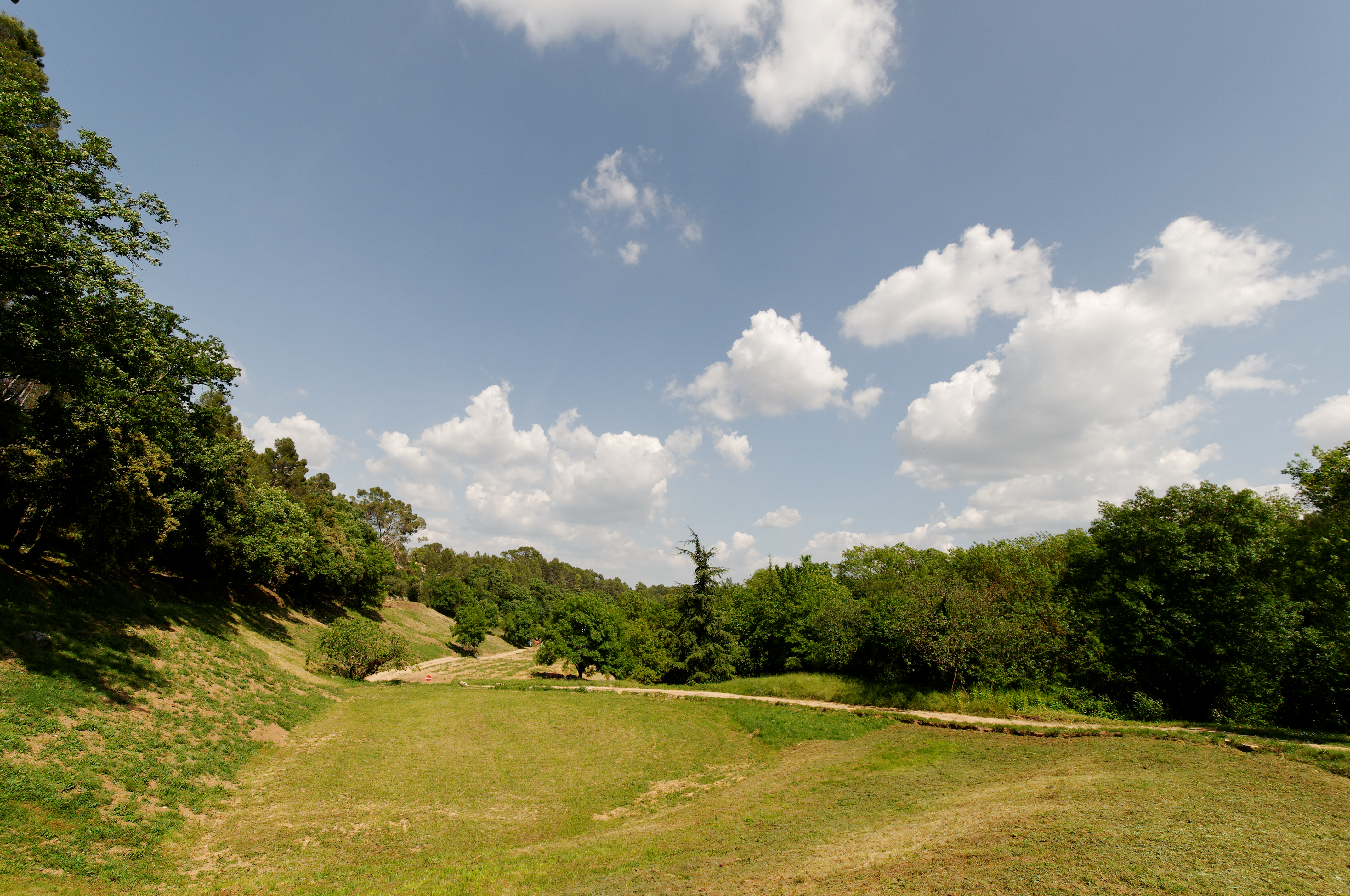 Dsc 8550 dxo raw