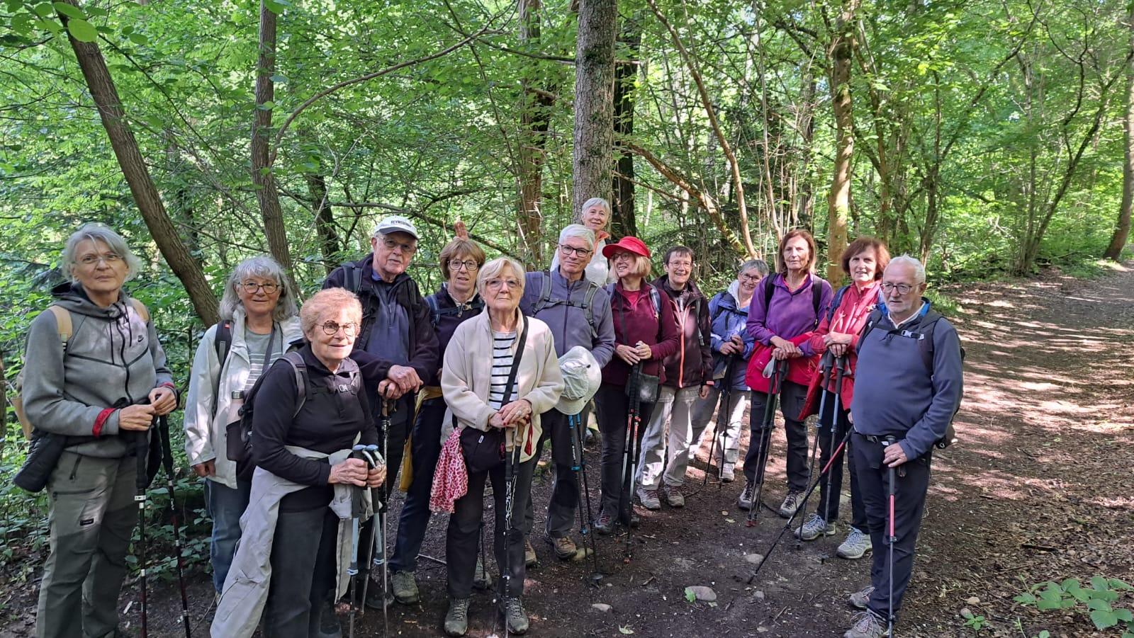 Le bois de serres