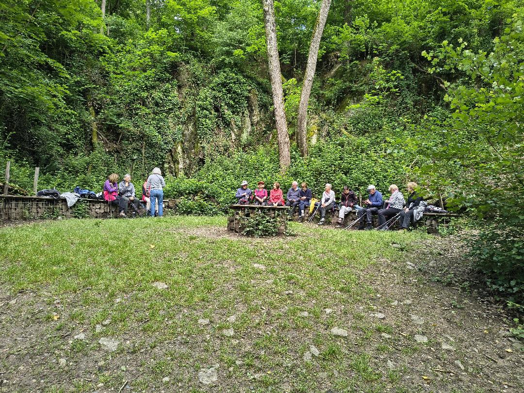 Le bois de serres 3