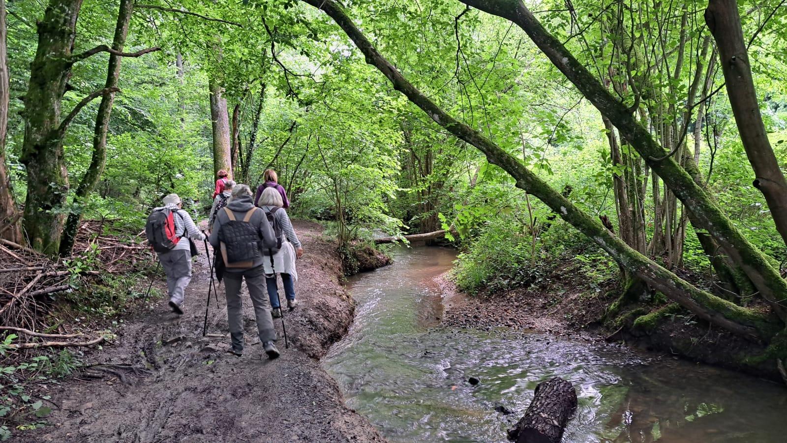 Le bois de serres 2