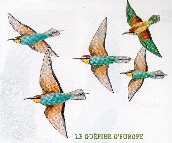 Faune5