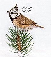 Faune6