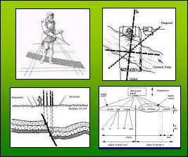 Geobiologie