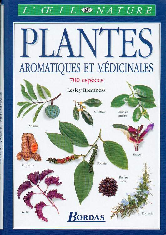 Plantes aromatiques