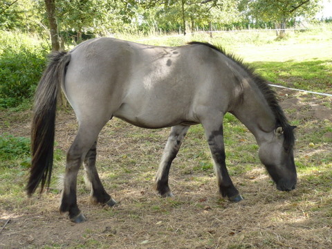P1000543