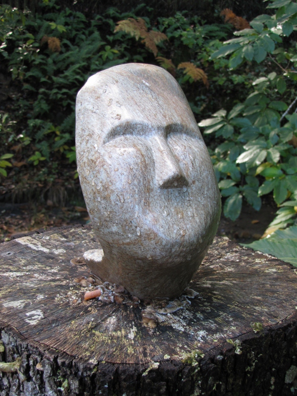 Recevoir la pluie bienfaisante 1 