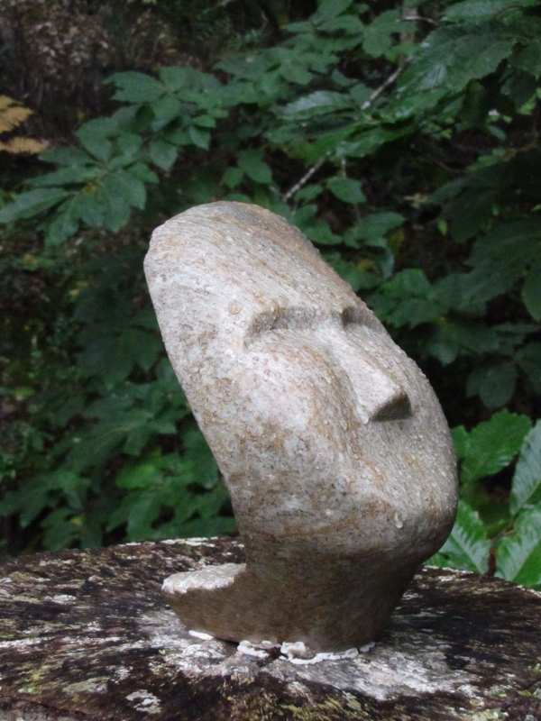 Recevoir la pluie bienfaisante 7 