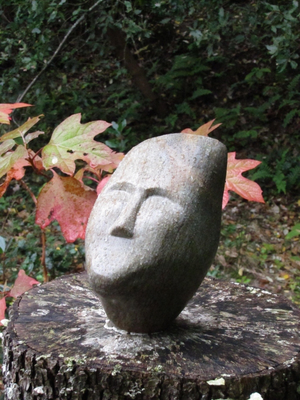 Recevoir la pluie bienfaisante 10 