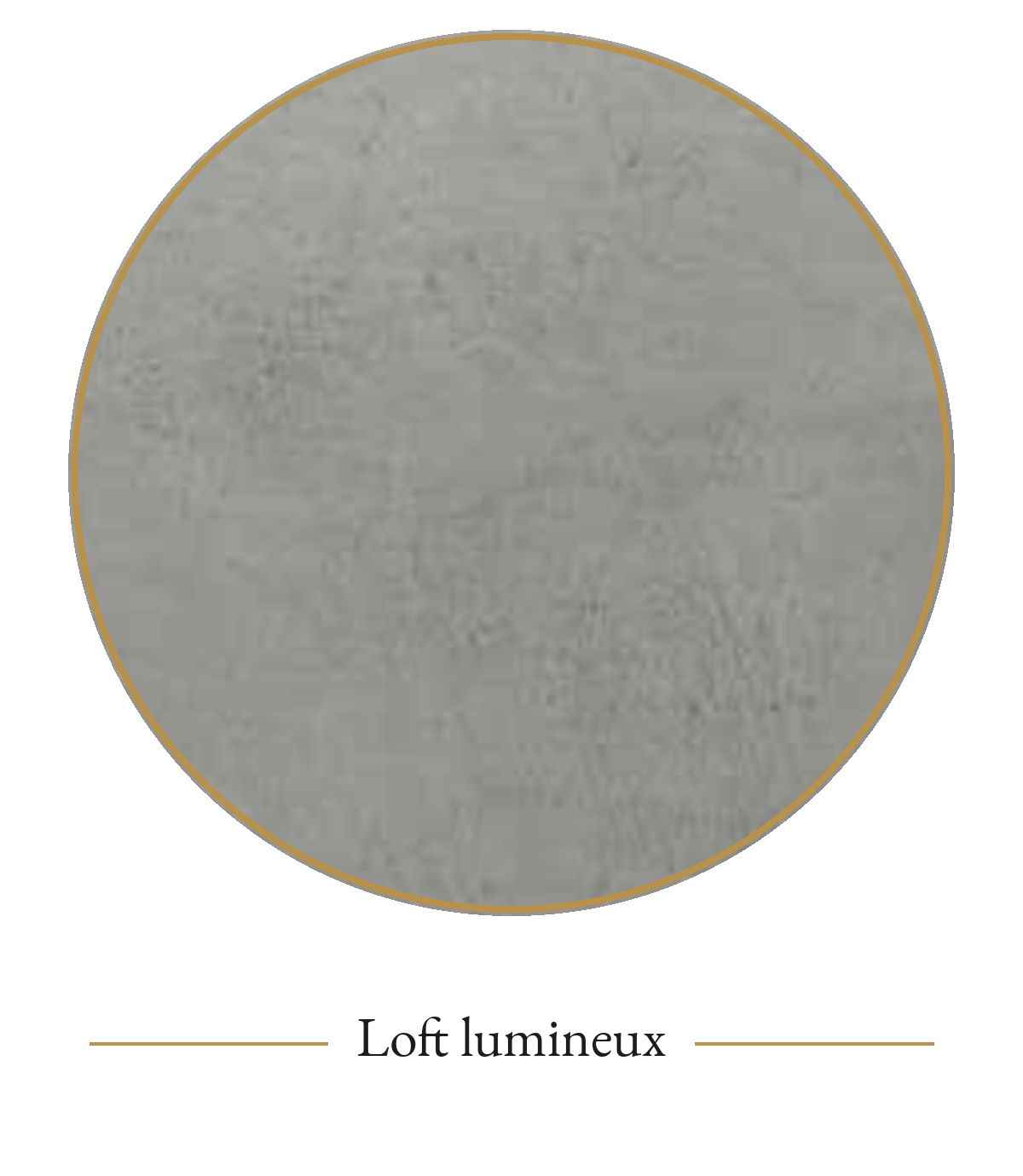 Carte loft lumineux